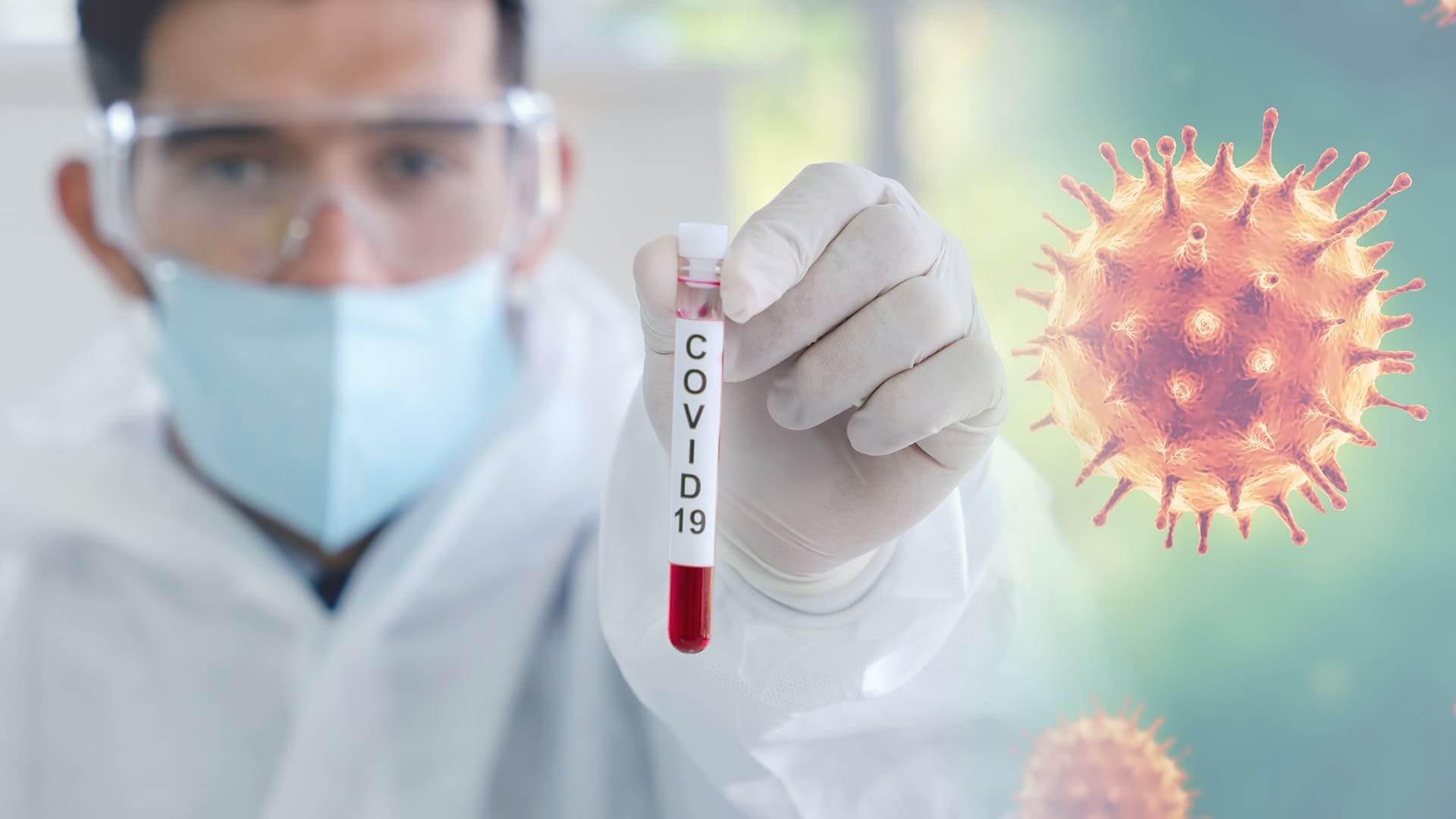 Fraudes relacionadas com o COVID-19 Coronavirus netSegura