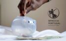Fraudes financimantos alerta Banco Portugal netSegura