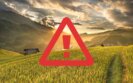 alerta_plaforma_alimente_quem_alimenta_netsegura