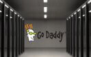 godaddy_acesso_ilegitimo_netsegura